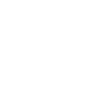 Kali Linux